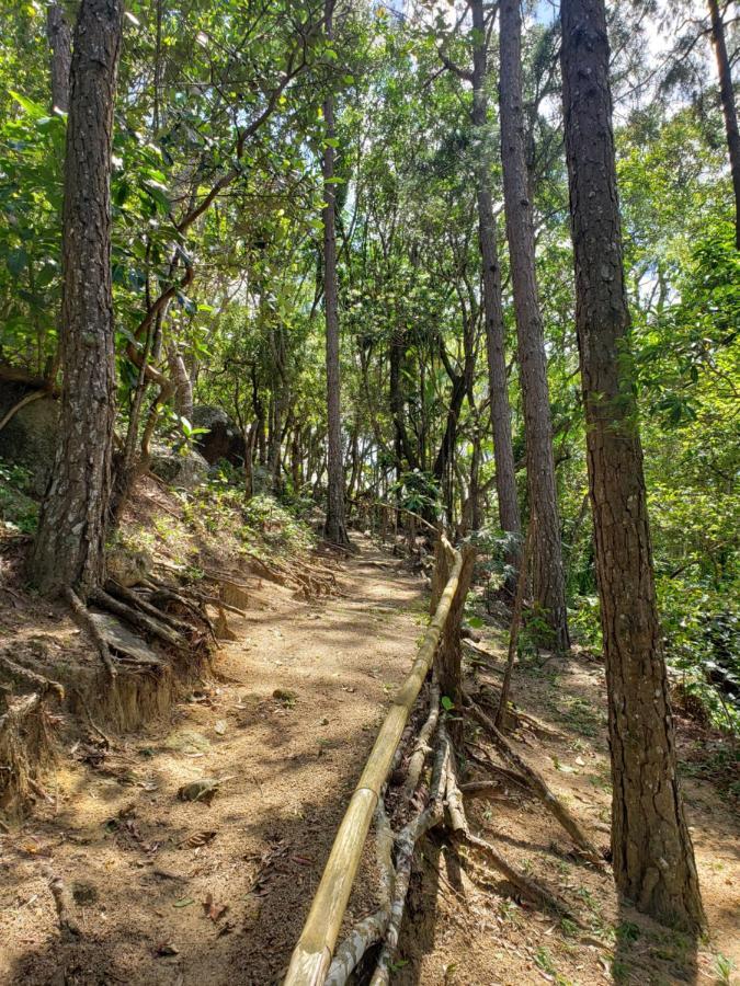 Pousada Quinta Da Bela Vista Florianópolis Eksteriør bilde